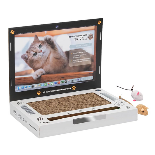 PurrPad Pro 3-in-1 Cat Toy